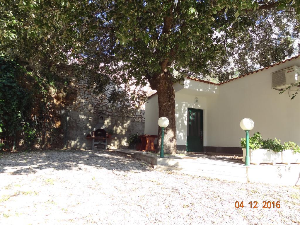 Holiday House Zorra Živogošće Esterno foto